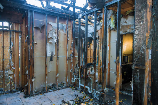 Professional Smoke Damage Removal technician working in Arnold, PA
